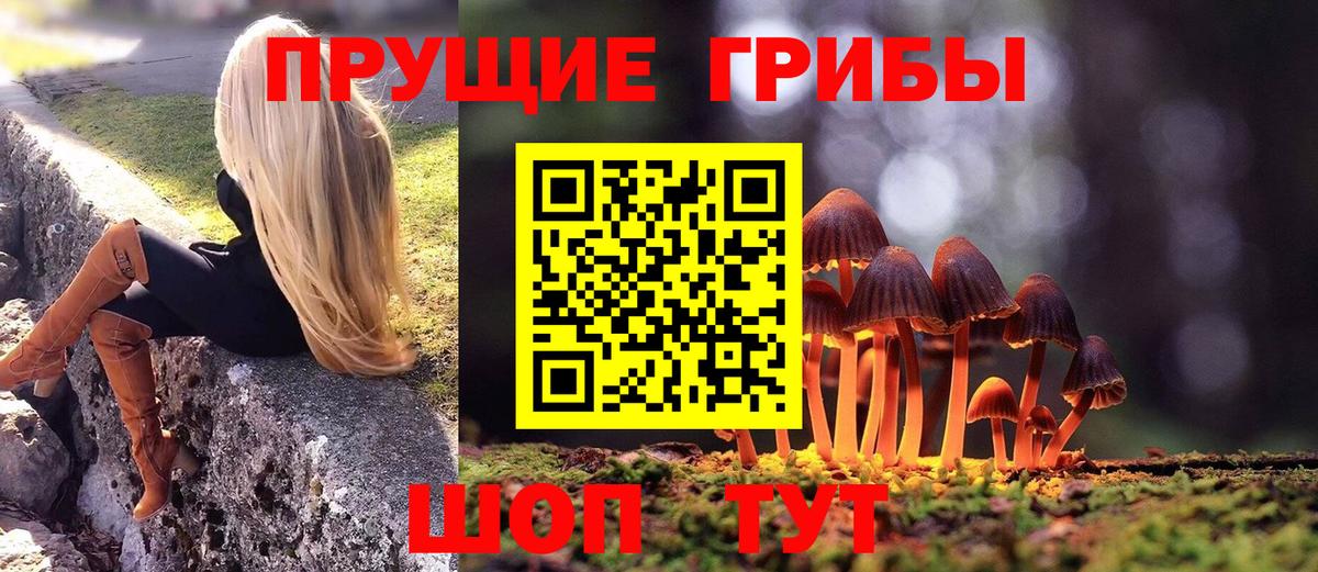 Галлюциногенные грибы мухоморы Тихвин